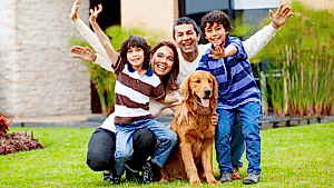 How to Keep Your House Clean With Pets