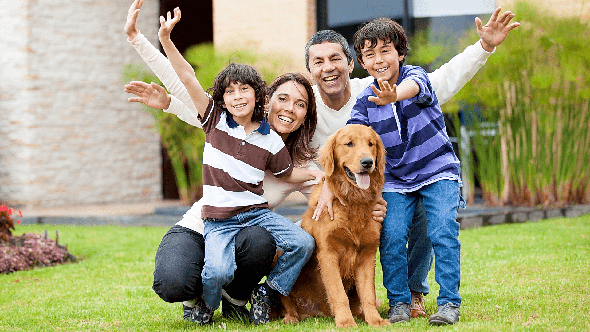 How to Keep Your House Clean With Pets